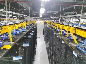 長(zhǎng)沙專(zhuān)業(yè)上門(mén)搭建網(wǎng)絡(luò) 建設(shè)機(jī)房 舊機(jī)房升級(jí)改造